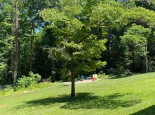 Nora B.'s lawn maintenance service result