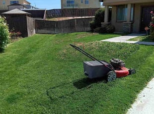 Karen D.'s grass cutting service result