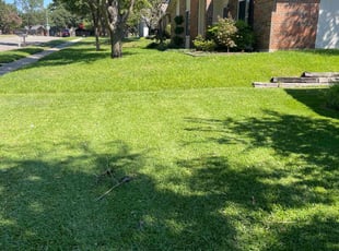 Stephanie K.'s turf maintenance service result