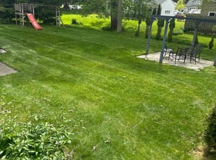 Lavora H.'s lawn maintenance service result