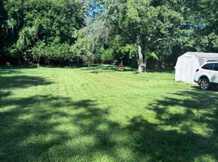 Taylor H.'s lawn care services service result