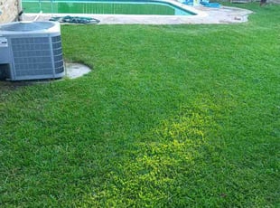 Rich N.'s grass cutting service result