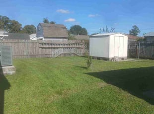 Mackinkey D.'s turf care service result