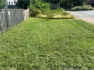 Conan C.'s lawn maintenance service result