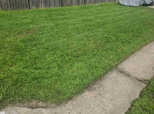 Branden B.'s lawn care services service result