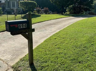 Shannon N.'s lawn care service result