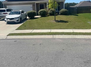 David S.'s lawn service service result