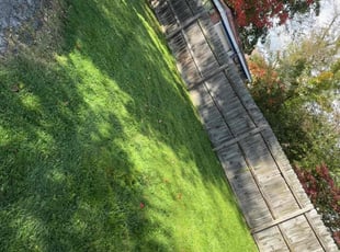 Dan V.'s lawn care service result
