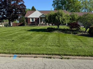 Joseph W.'s grass cutting service result