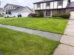 Mylka B.'s grass maintenance service result