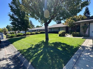 Carly T.'s turf maintenance service result