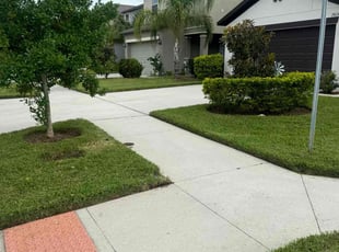 Michelle S.'s lawn care services service result