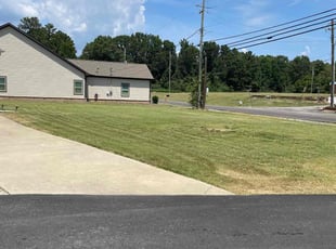 Carol H.'s grass maintenance service result