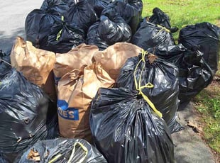 Tee D.'s Cleanups service result