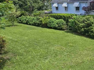 Cindy S.'s turf maintenance service result