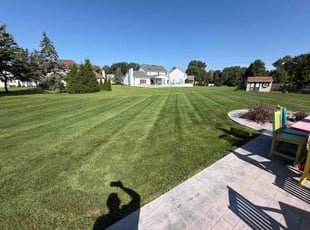 Dave G.'s lawn care service result