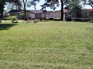 Linda B.'s turf maintenance service result