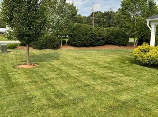 Hansel G.'s lawn care service result