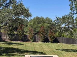 Julius V.'s lawn care services service result