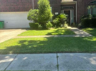 Alan V.'s lawn care service result