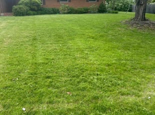 Marc P.'s turf maintenance service result