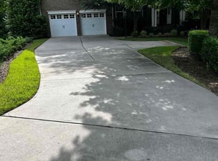 Mary C.'s lawn service service result