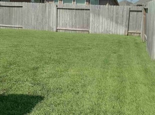 Renona P.'s lawn care service result