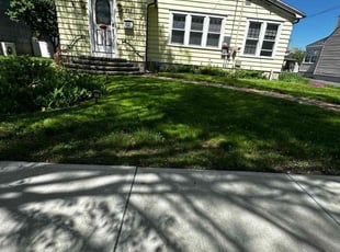 Hector L.'s grass cutting service result