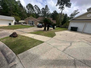 Tim G.'s grass cutting service result