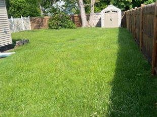 Laura A.'s grass cutting service result