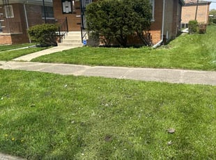 Jose R.'s turf maintenance service result