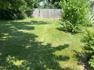 Jack M.'s lawn service service result