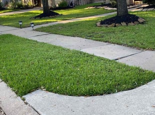 Jeff B.'s turf care service result