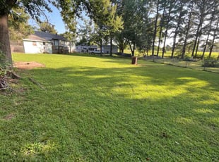 Mason M.'s lawn care service result