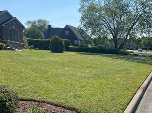 Deborah B.'s grass maintenance service result