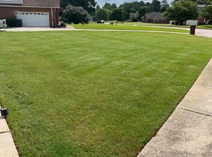 Tami B.'s lawn care services service result