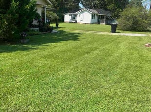 Ryan B.'s lawn maintenance service result