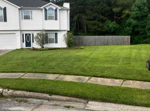Ronald N.'s lawn care service result