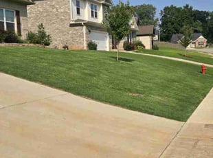 Ernest N.'s grass maintenance service result