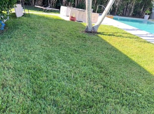 Ian P.'s turf maintenance service result
