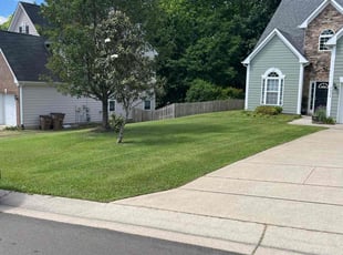 Gregory L.'s turf care service result