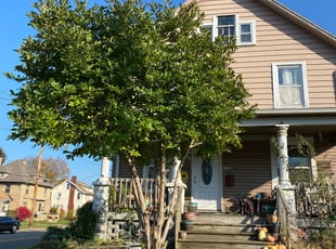 Melissa P.'s Bush Trimming service result