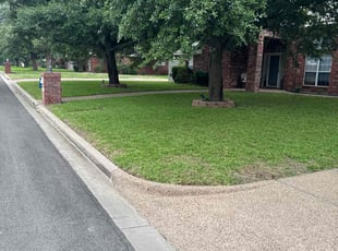 Tricia O.'s yard care service result