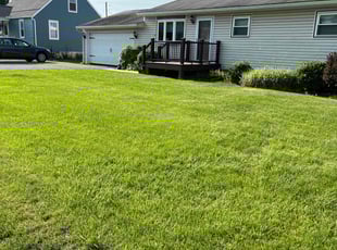 Jolecia M.'s lawn care services service result