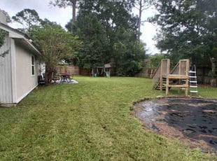 Brittney M.'s grass maintenance service result