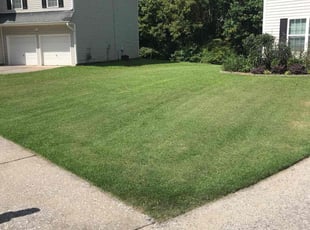 Diana K.'s lawn care service result