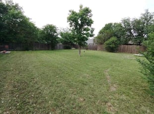 Zachary H.'s lawn service service result
