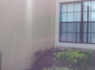 Andy T.'s Bush Trimming service result