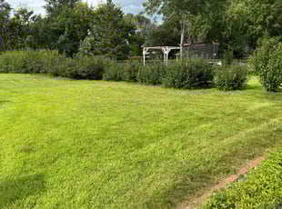 Lou E.'s lawn maintenance service result