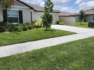 Tzvetko K.'s lawn service service result